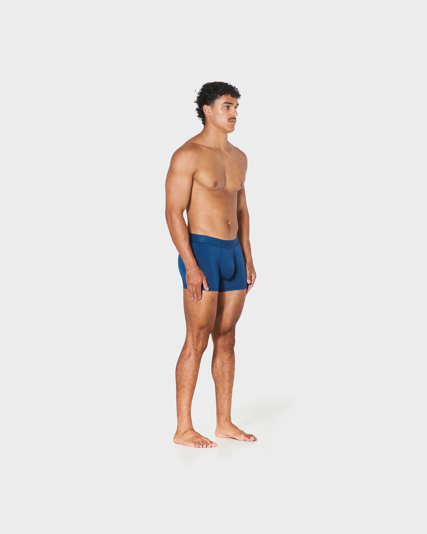 BLUE (BASIC)