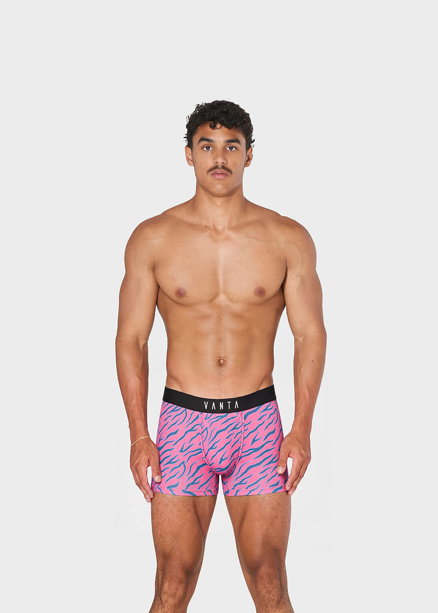 PINK TIGER (BASIC)